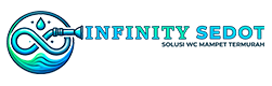Infinity Sedot